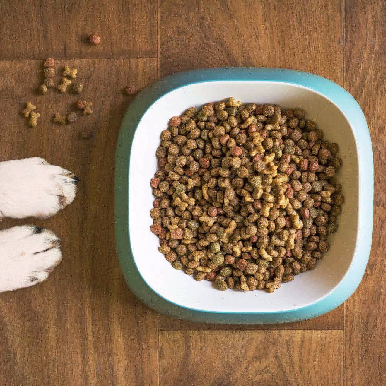 Plan Gotitas de Amor